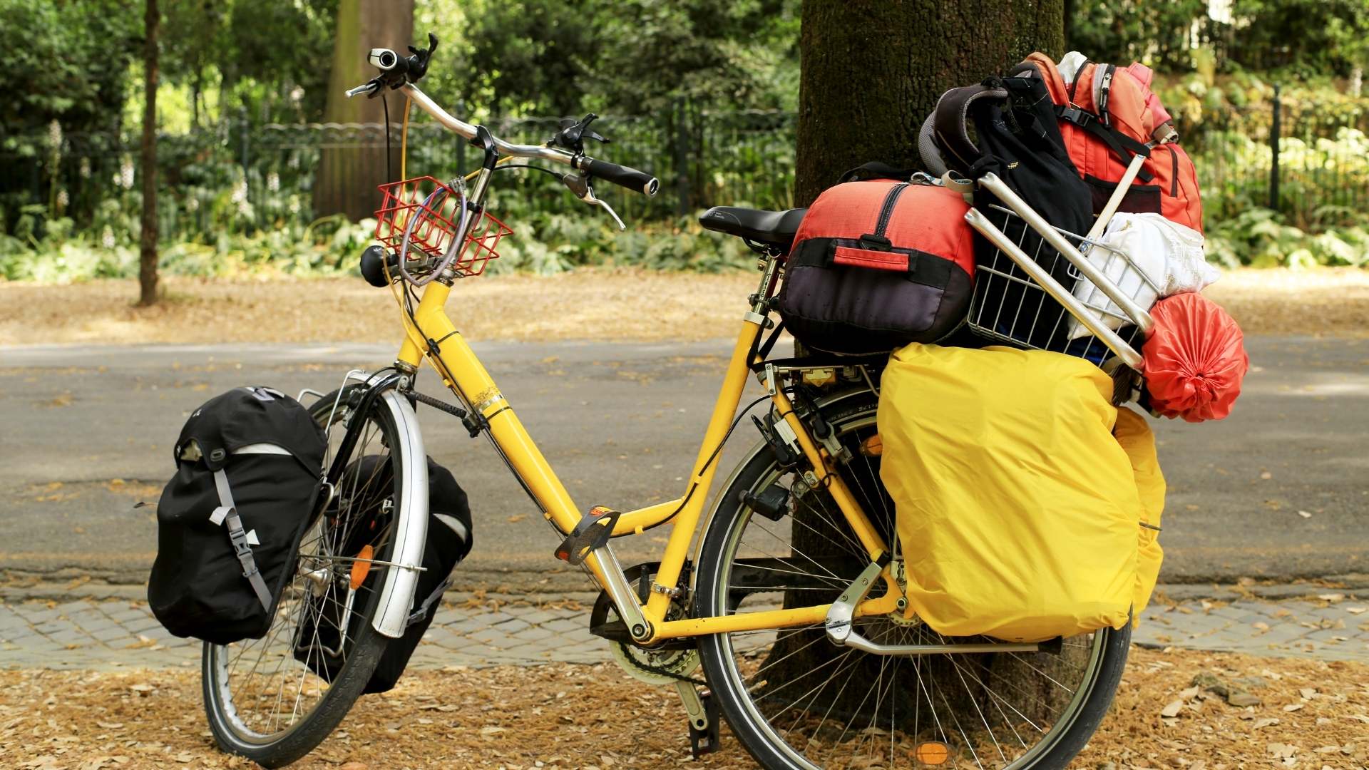 geltonas dviratis miške ir kelioniniai krepšiai