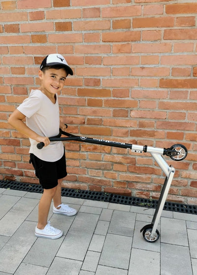 Paspirtukas HyperMotion Evo Stunt silver