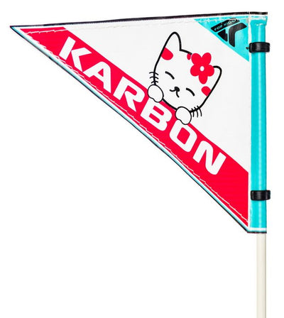 Dviratis Karbon Kitty 20 pink-white