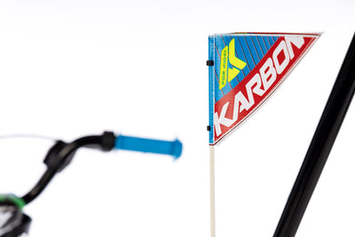 Dviratis Karbon Alvin 18 green-blue