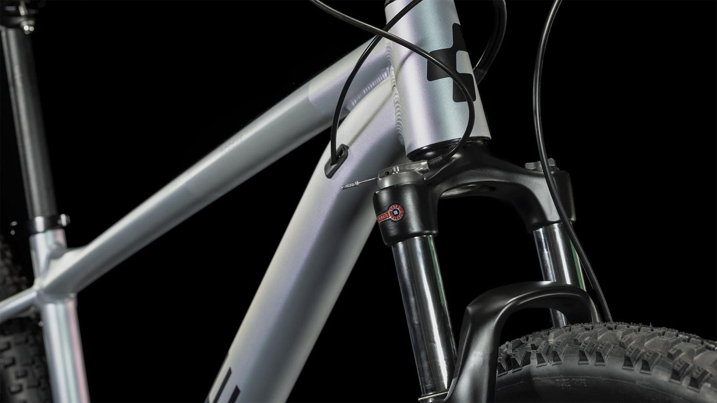 Dviratis Cube Access WS Pro 29 galactic'n'black 2023
