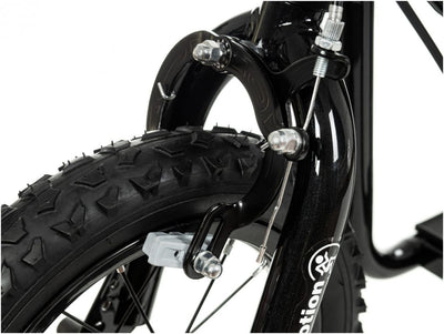 Paspirtukas HyperMotion Viva 12 black