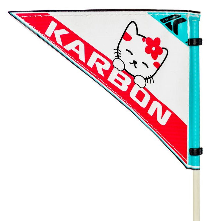 Dviratis Karbon Kitty 20 turquoise-white