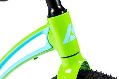 Balansinis dviratukas Karbon First green-blue