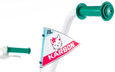 Dviratis Karbon Kitty 16 turquoise-white