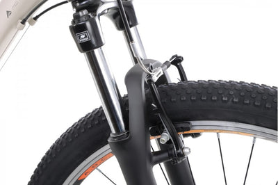 Dviratis Romet Rambler R9.0 29" 2023 grey-black-orange-19" / L