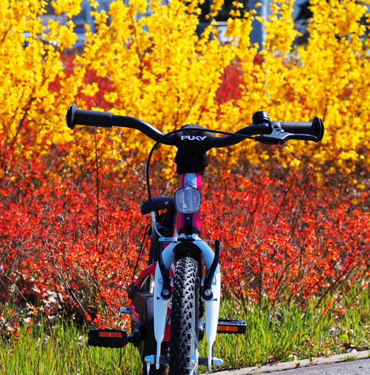 Dviratis PUKY CYKE 16-1 Alu berry-white