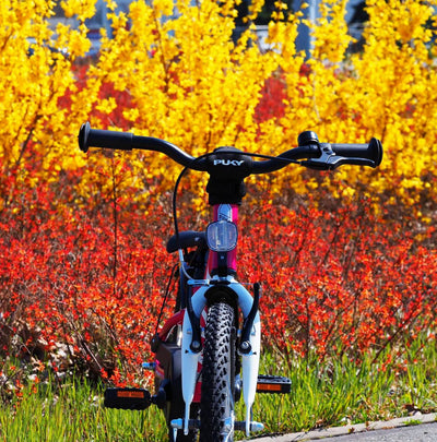 Dviratis PUKY CYKE 16-1 Alu berry-white