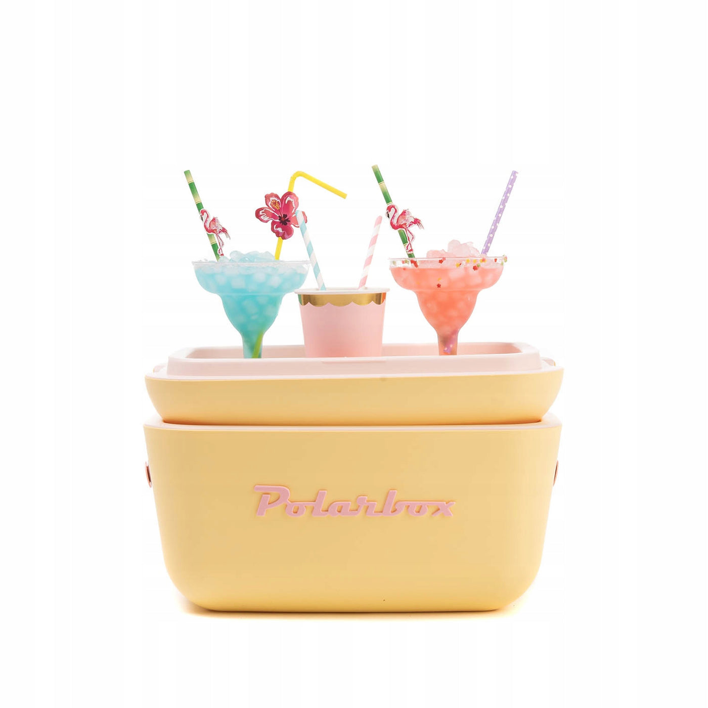 POLARBOX vintage šaltkrepšis šaldytuvas 20L