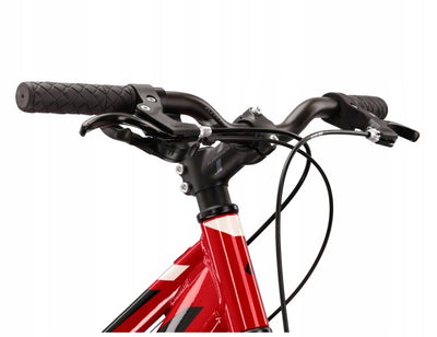 Dviratis Kross Hexagon JR 1.0